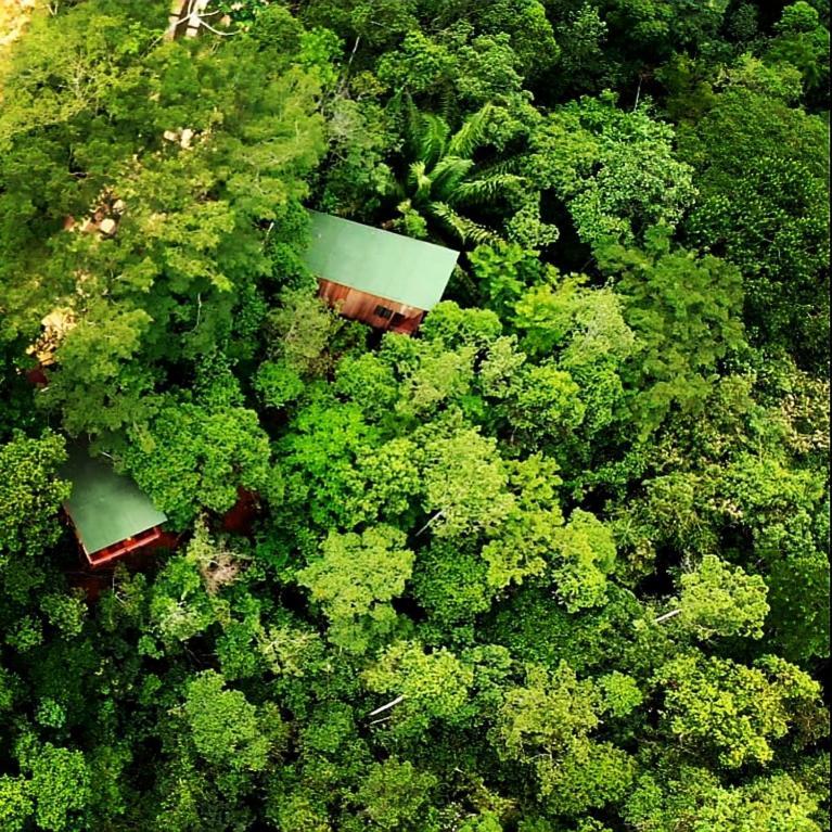 La Luciole Ecolodge Paraty Exterior foto